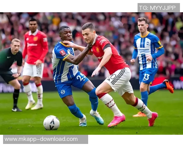 足总杯激战AC米兰逆转尤文图斯红牌风波引发全场热议与十大精彩进球回顾